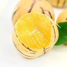 霍山公園農(nóng)副產(chǎn)品展銷 優(yōu)質(zhì)特產(chǎn)一站式購