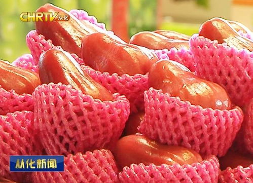 京東中國(guó)特產(chǎn)·從化館盛大開(kāi)幕，優(yōu)質(zhì)農(nóng)副產(chǎn)品添新銷(xiāo)售渠道