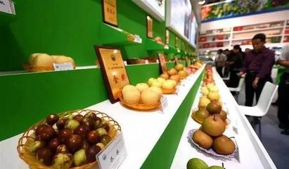 祁陽(yáng)首屆油菜花節(jié)暨農(nóng)副產(chǎn)品交易會(huì)邀您共賞春光，樂(lè)享田園盛宴