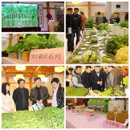 強(qiáng)豐生態(tài)農(nóng)莊春季農(nóng)副產(chǎn)品推介會(huì)圓滿(mǎn)舉行