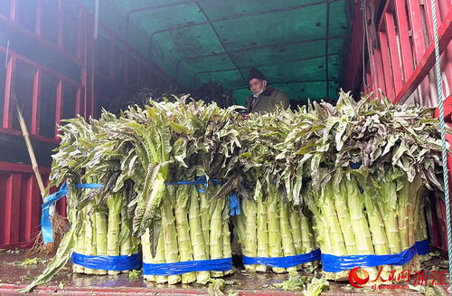 新春走基層 24小時不打烊，守護萬家煙火氣——走訪華東最大農副產品集散地